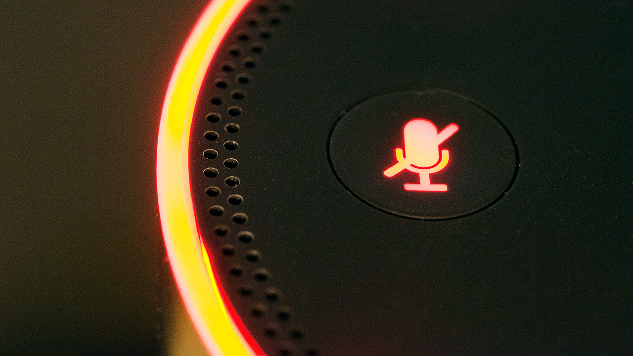 Muting your Amazon Echo.